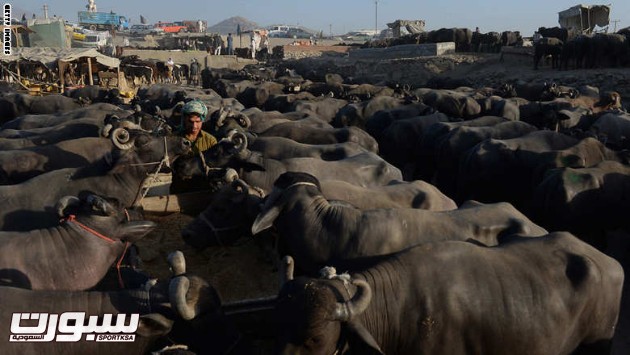 AFGHANISTAN-RELIGION-ISLAM-EID