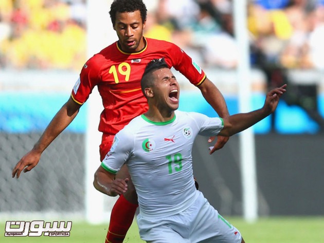 بلجيكا الجزائر 8