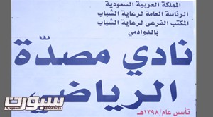 مصدة1